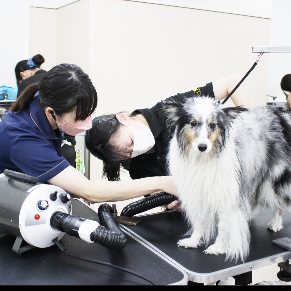 ２年生のお客様♪